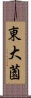 東大薗 Scroll