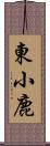 東小鹿 Scroll