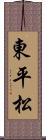 東平松 Scroll