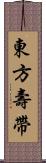東方壽帶 Scroll