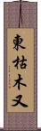 東枯木又 Scroll