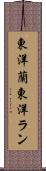 東洋蘭 Scroll