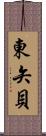 東矢貝 Scroll