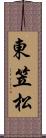 東笠松 Scroll
