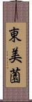 東美薗 Scroll