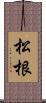 松根 Scroll