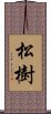 松樹 Scroll