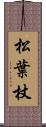 松葉杖 Scroll