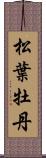 松葉牡丹 Scroll