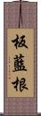 板藍根 Scroll