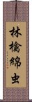 林檎綿虫 Scroll