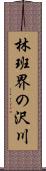 林班界の沢川 Scroll