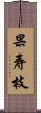 果寿枝 Scroll