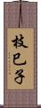 枝巳子 Scroll