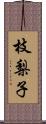 枝梨子 Scroll