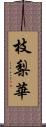 枝梨華 Scroll