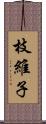 枝維子 Scroll