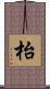 枱 Scroll
