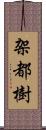 架都樹 Scroll