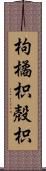 枸橘;枳殻;枳 Scroll