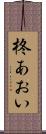 柊あおい Scroll