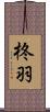 柊羽 Scroll