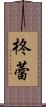 柊蕾 Scroll