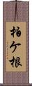 柏ケ根 Scroll