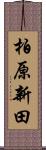 柏原新田 Scroll