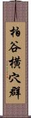 柏谷横穴群 Scroll