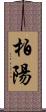 柏陽 Scroll