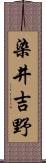 染井吉野 Scroll