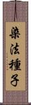 染法種子 Scroll