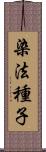 染法種子 Scroll