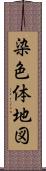 染色体地図 Scroll