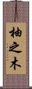 柚之木 Scroll