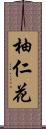 柚仁花 Scroll