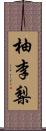 柚李梨 Scroll