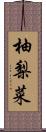 柚梨菜 Scroll