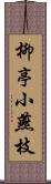 柳亭小燕枝 Scroll