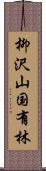 柳沢山国有林 Scroll