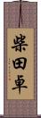 柴田卓 Scroll