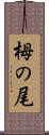 栂の尾 Scroll