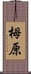 栂原 Scroll