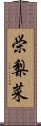 栄梨菜 Scroll