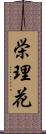 栄理花 Scroll