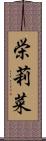 栄莉菜 Scroll
