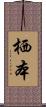 栖本 Scroll