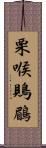 栗喉鵙鶥 Scroll