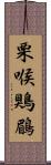 栗喉鶪鶥 Scroll